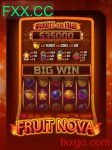 FruitNova: Um Mergulho Divertido no Mundo das Frutas